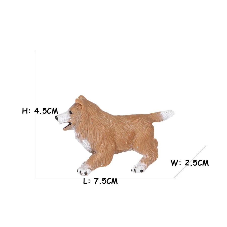 Golden Retriever Corgi Shiba I - Review Home Decor review and price