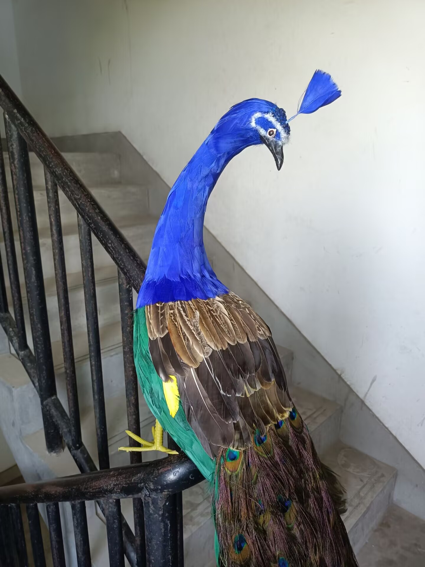 105cm Realistic Peacock Model  - Home Decor Design Ideas review and price