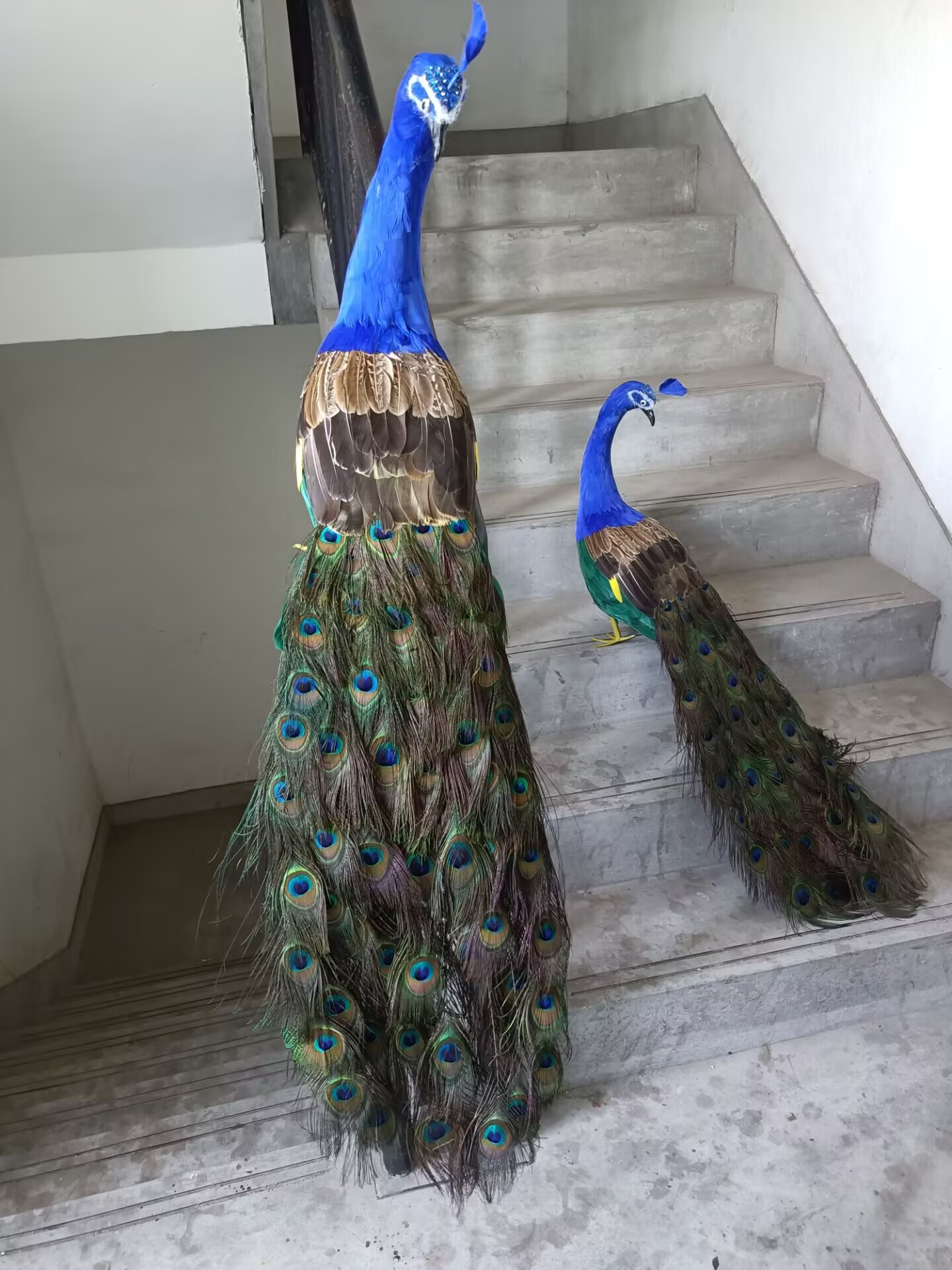 105cm Realistic Peacock Model  - Home Decor Design Ideas review and price